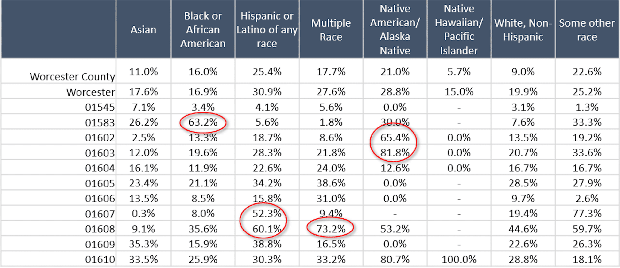 The table above displays the percentage of demographic populations in different zip codes in Worcester living below the Federal Poverty Line.